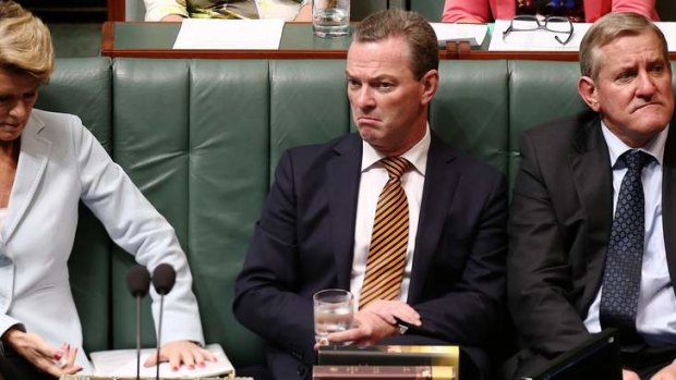 Leader of the House Christopher Pyne during question time. Photo: Alex Ellinghausen