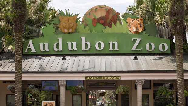 The Audubon Zoo closed after a jaguar escaped from its habitat and killed animals. 