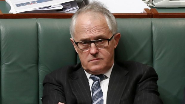 Communications Minister Malcolm Turnbull during question time on Wednesday.