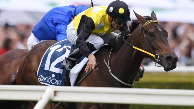 Everest bound: In Her Time and Corey Brown win the Sydney Stakes on Everest day last year.