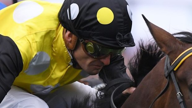 Everest bound: In Her Time and Corey Brown win the Sydney Stakes on Everest day last year.