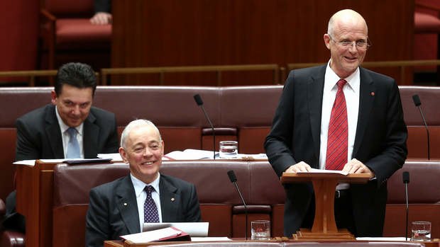 LDP Senator David Leyonhjelm delivers his maiden speech. Photo: Alex Ellinghausen