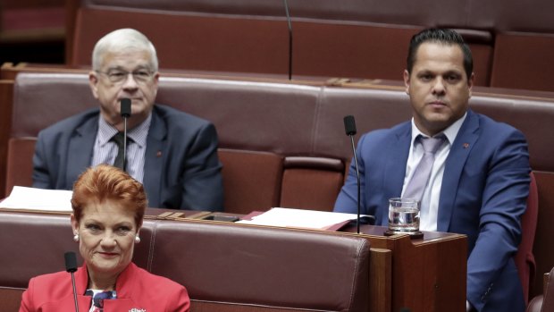 Pauline Hanson's group of senators has been reduced from four to three following a series of fiascos.