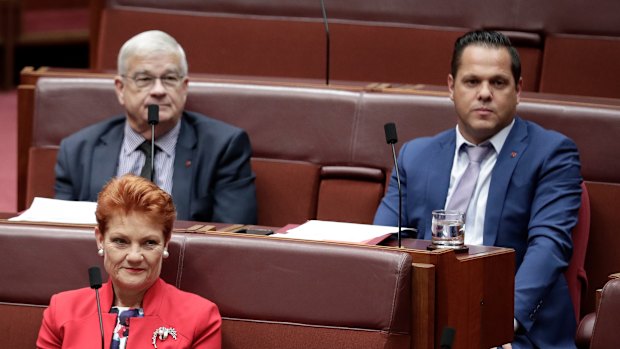 Pauline Hanson's group of senators has been reduced from four to three following a series of fiascos.