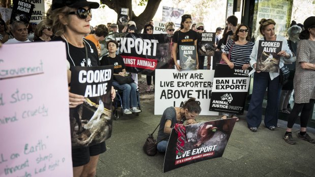 Protesters stood outside the offices of Emanuel Exports in Perth on Monday following the death of 2,400 sheep on a live export ship.