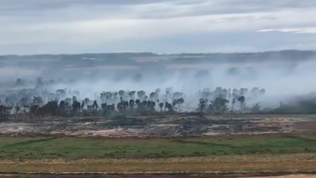 Peat in a Cobrico swamp continues to burn. 