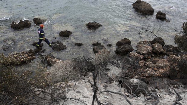 Rescuers search for people in the water along the coastline in Mati, Greece.