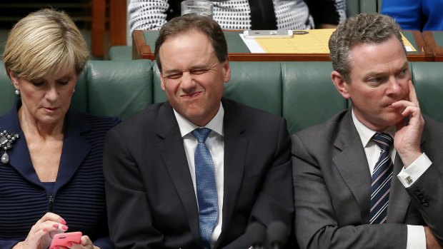 Environment Minister Greg Hunt in question time on Wednesday.