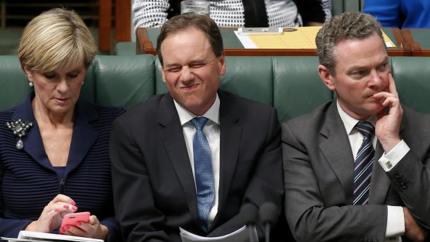 Environment Minister Greg Hunt in question time on Wednesday.