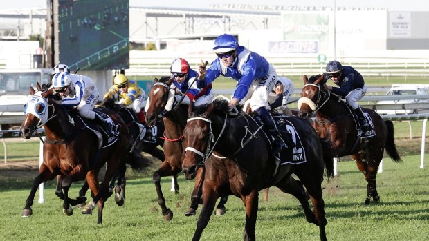 Star is born: Winx announces her arrival, winning the 2015 Queensland Oaks.