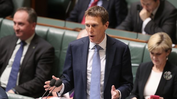 Social Services Minister Christian Porter during question time on Thursday.