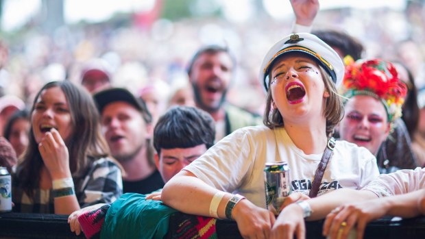 Fans swept up in a music festival moment.