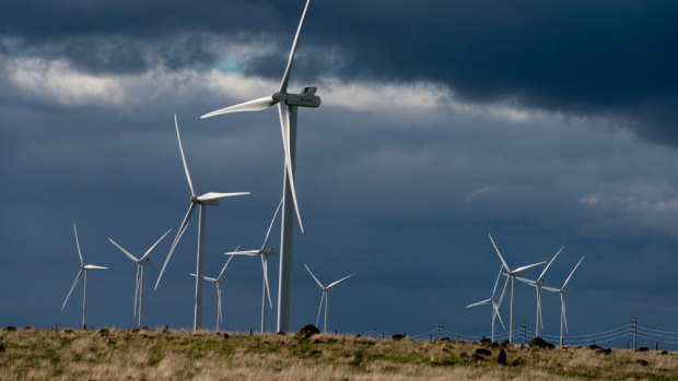 Weathering the storm: The Macarthur wind farm in Victoria remains Australia's largest - but for how long?