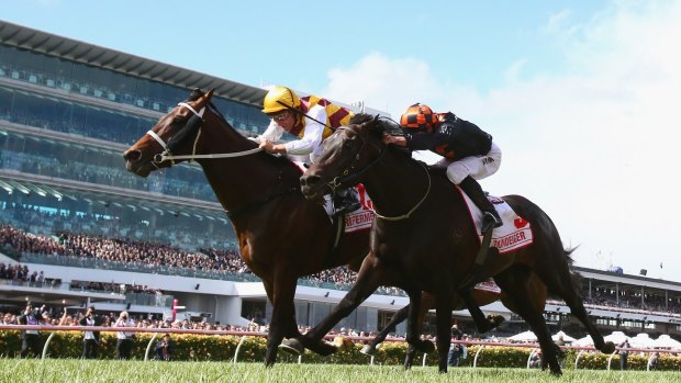 BT analysts tip Preferment to win the Melbourne Cup.