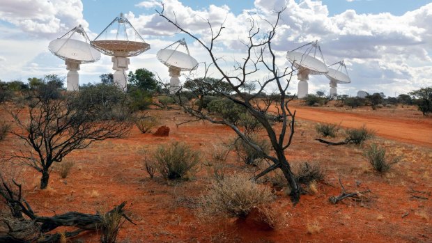 The Australian Square Kilometre Array radio telescope array stretches across the landscape at Boolardy station in Western Australia, 800 kilometres north-east of Perth.