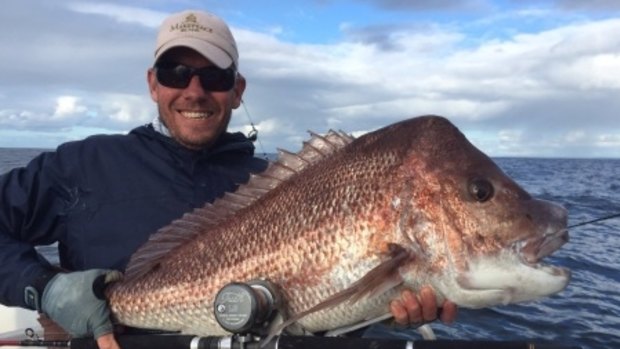 Pink Snapper is a popular fish to catch in Shark Bay.