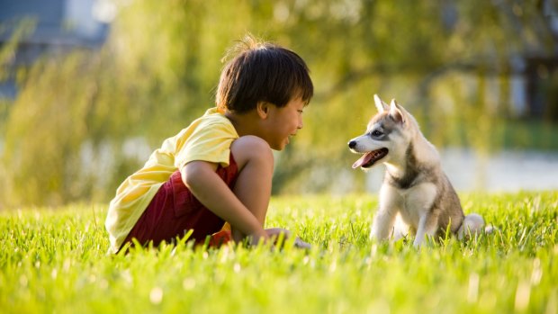 Children who grow up with dogs are less anxious.
