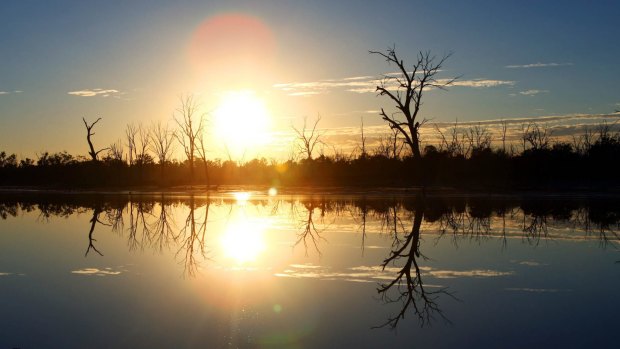 Serious claims have been made about the integrity of the science underpinning the Murray-Darling Basin Plan.