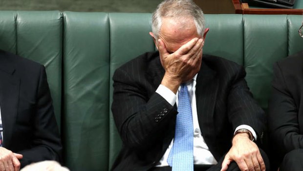 Communications Minister Malcolm Turnbull during question time. Photo: Alex Ellinghausen