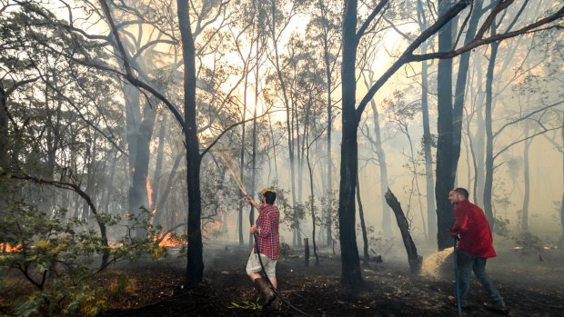 Adam Watkin and partner Prue Mathisen and friends fighting the fire to save their home, near Three Chain rd, Lancefield.