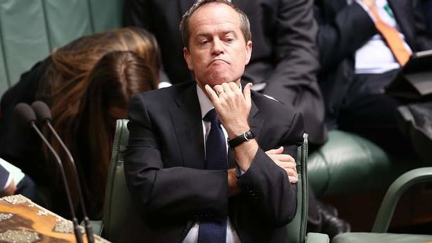 Opposition Leader Bill Shorten. Photo: Alex Ellinghausen