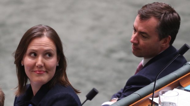Small Business Minister Kelly O'Dwyer in question time on Monday.