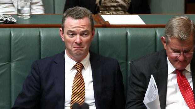 Leader of the House Christopher Pyne during QT. Photo: Alex Ellinghausen