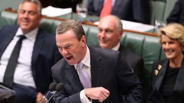Leader of the House Christopher Pyne during question time. Photo: Andrew Meares