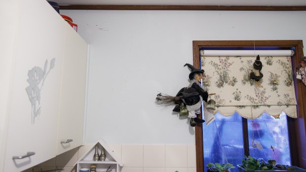 Gaps in the ceiling mean that possum urine is often seen running down the walls of Trish Casey's kitchen.