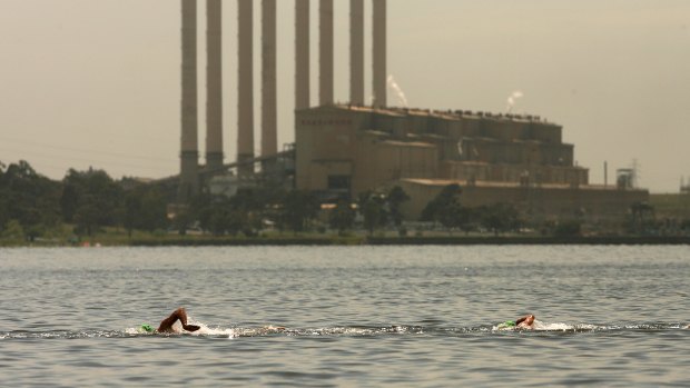 Up until the plant's closure in 2017 the waters in the pondage were warm, because warm water was pumped into it from the power station. Here, Grant Hackett swims in a competition in 2007. 