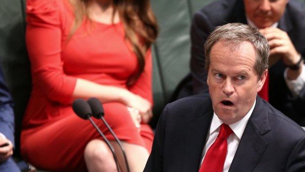 Opposition leader Bill Shorten in Question Time on Wednesday.