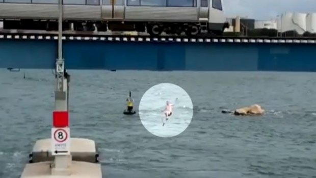 The man lands in the water after jumping from the train on the Fremantle bridge.