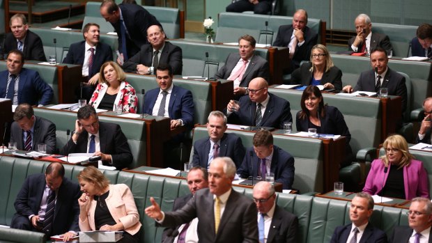 Prime Minister Malcolm Turnbull and his backbench during question time  on Thursday.