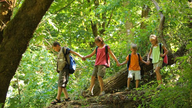 Bushwalking can be a free, immersive experience for kids.