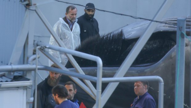  Icelandic fishing magnate Kristjan Loftsson views the whale, believed to be a blue whale.