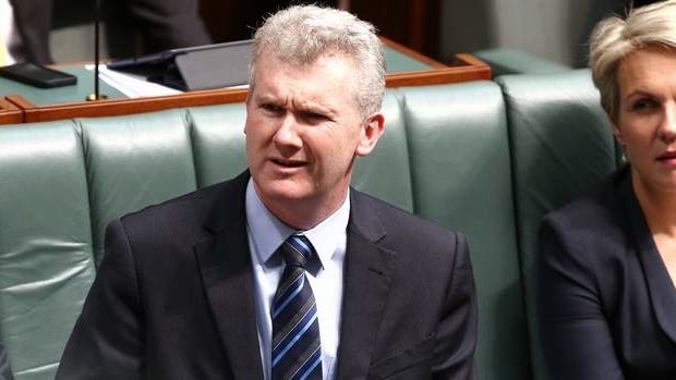 Manager of Opposition Business Tony Burke during question time. Photo: Alex Ellinghausen