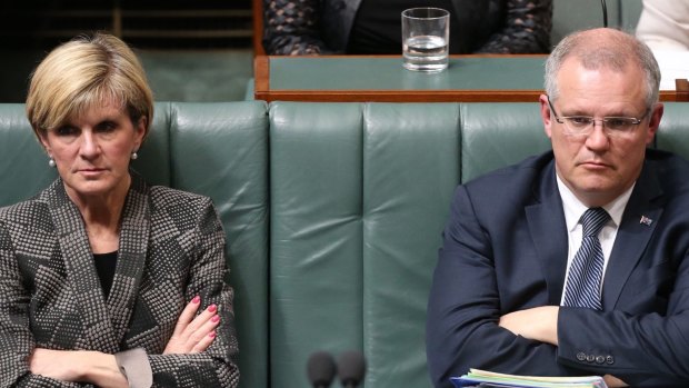 Foreign Affairs Minister Julie Bishop and Social Services Minister Scott Morrison during question time  on Thursday.
