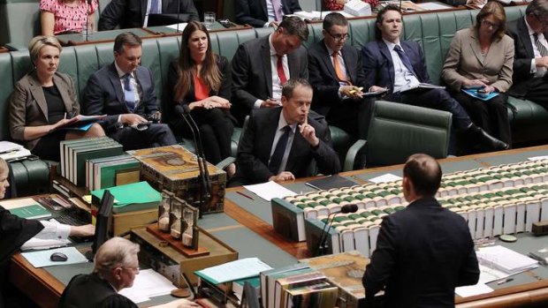 Opposition Leader Bill Shorten during QT. Photo: Alex Ellinghausen