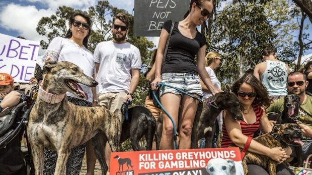 Protesters say a new greythound racing track will perpetuate animal cruelty and add to Logan's gambling problems.