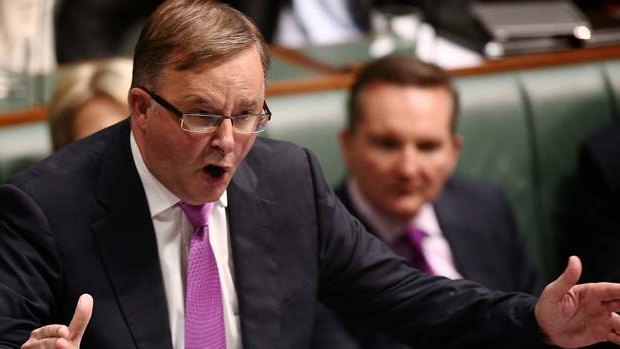 Labor MP Anthony Albanese during Question Time. Photo: Alex Ellinghausen