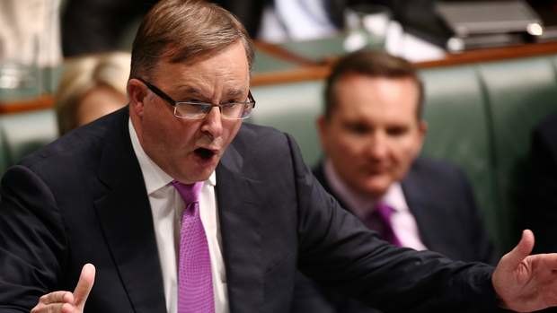 Labor MP Anthony Albanese during Question Time. Photo: Alex Ellinghausen