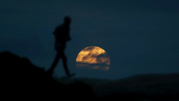 The moon rises near Bondi before the super blue blood moon full eclipse in January.