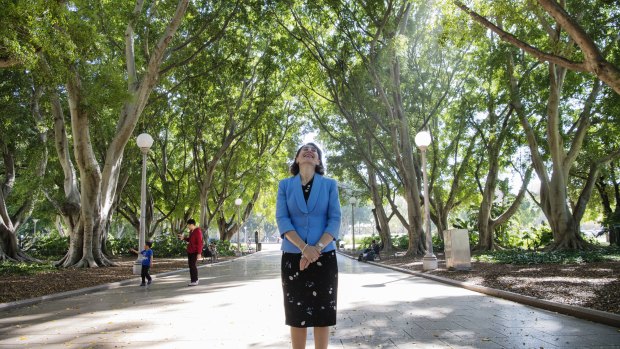 NSW Premier Gladys Berejiklian committed $37.5 million to planting five million trees across Sydney over the next 12 years. 