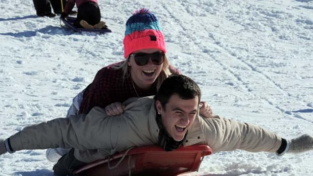 Tobogganing has been banned at Thredbo, just a week until the start of the snow season. 