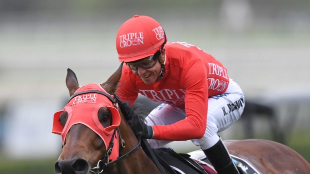 Punter's pal: Redzel will be heavily back ed in the TJ Smith