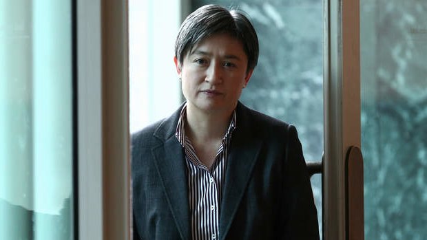 Leader of the Opposition in the Senate, Senator Penny Wong, addresses the media during a doorstop on Thursday. Photo: Alex Ellinghausen