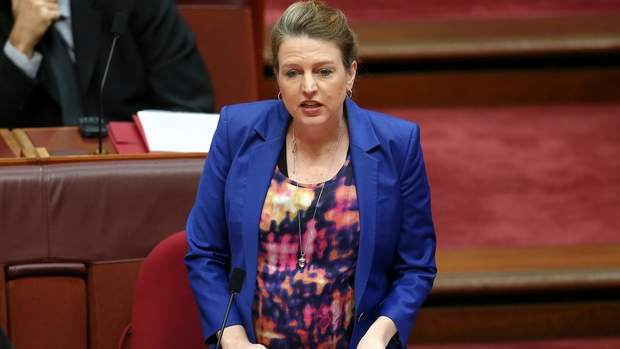 Senator Louise Pratt delivers her valedictory statement to the Senate on Tuesday. Photo: Alex Ellinghausen