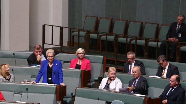 Bronwyn Bishop delivers her farewell speech to Parliament on Wednesday.