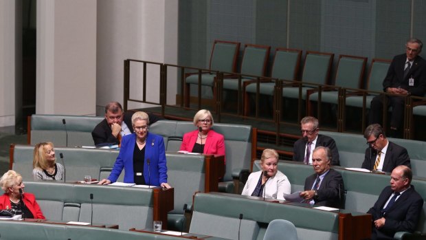 Bronwyn Bishop delivers her farewell speech to Parliament on Wednesday.