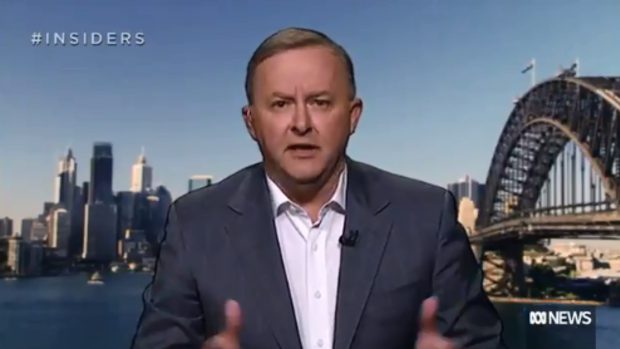 Labor frontbencher Anthony Albanese said the UN inquiry would be "in the interests of all".
